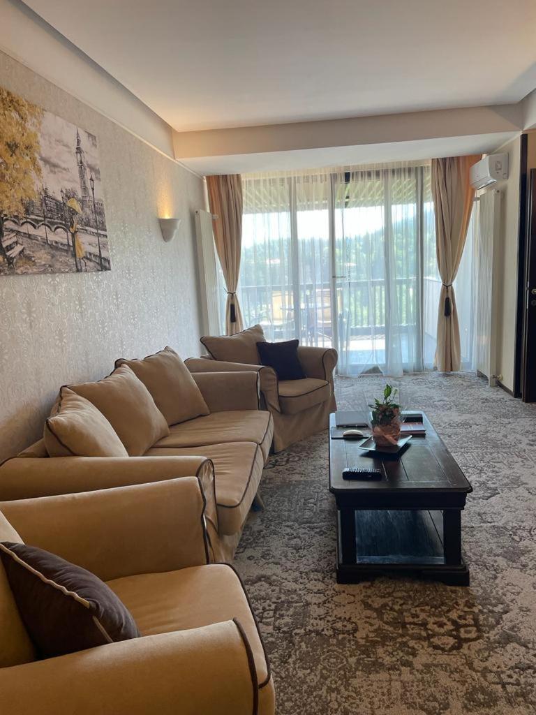 Apartament Executive Vedere Munte Alpin Resort Пояна-Брашов Екстер'єр фото