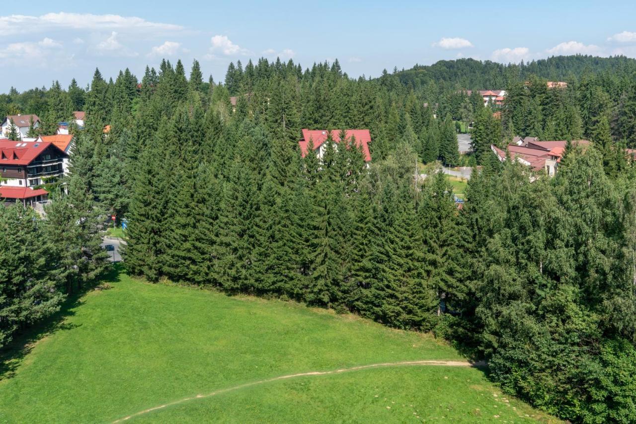 Apartament Executive Vedere Munte Alpin Resort Пояна-Брашов Екстер'єр фото