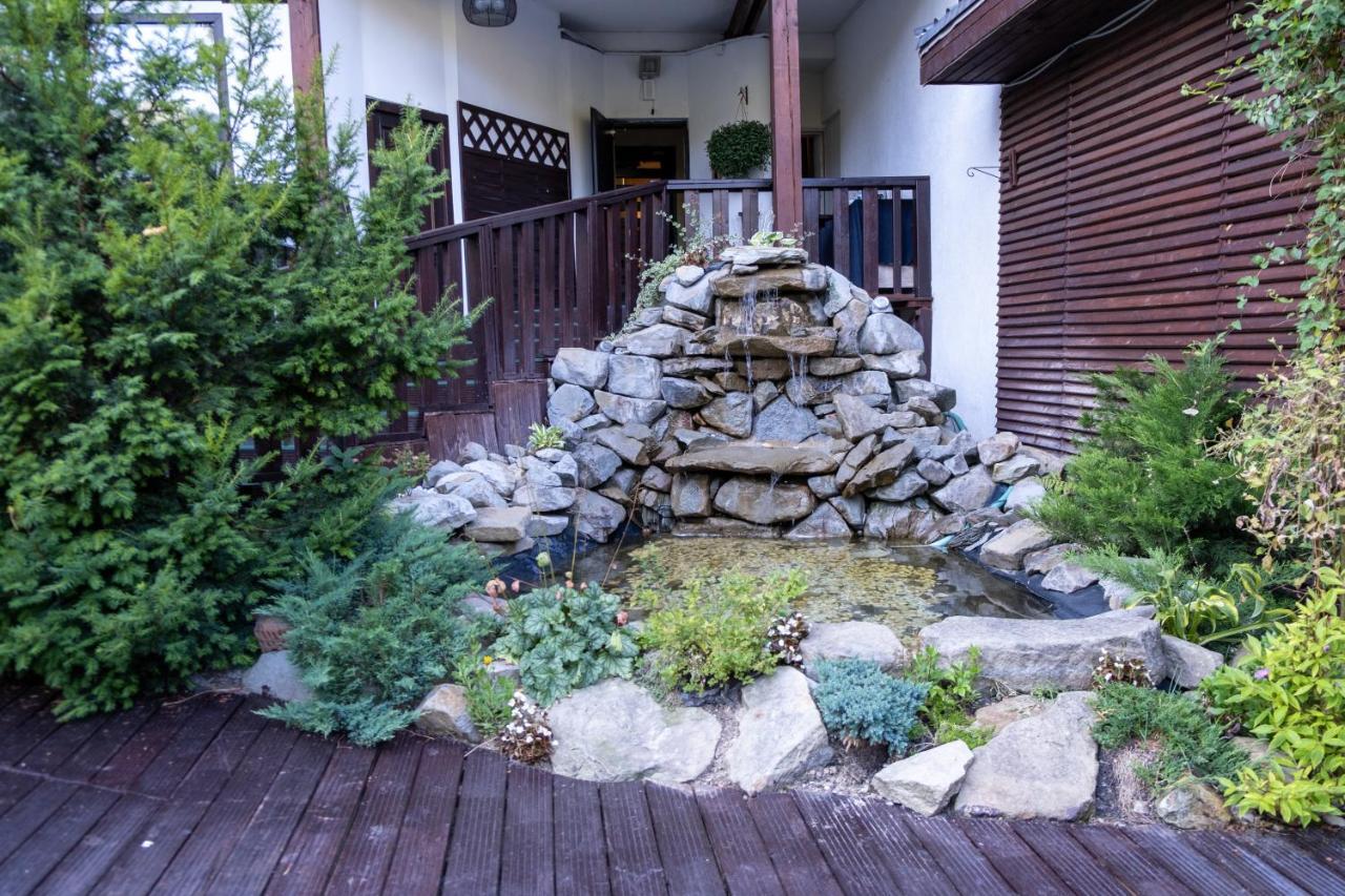 Apartament Executive Vedere Munte Alpin Resort Пояна-Брашов Екстер'єр фото